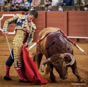 TORERÍA EN SEVILLA