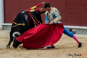 UN LOTE IMPOSIBLE EN ALBACETE