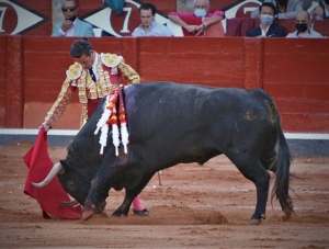 APUNTES DE DIEGO URDIALES EN SALAMANCA