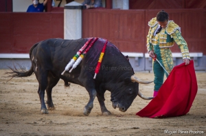 PÉSIMO LOTE EN MADRID